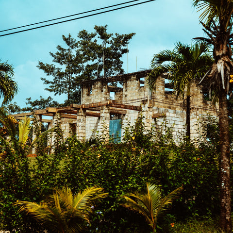 Belize: Ecotourism in Action/MACMILLAN CARIBBEAN/Meb Cutlack - 洋書