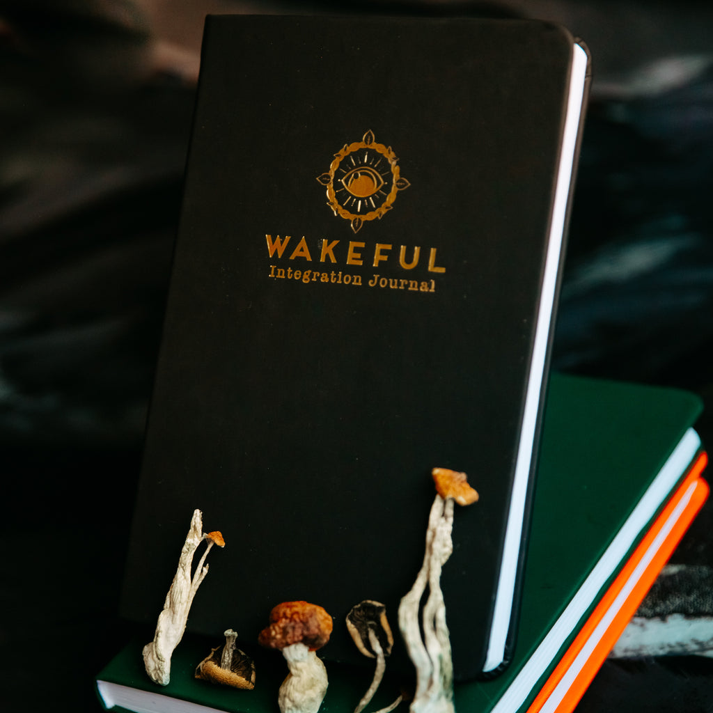 Wakeful Integration Journal